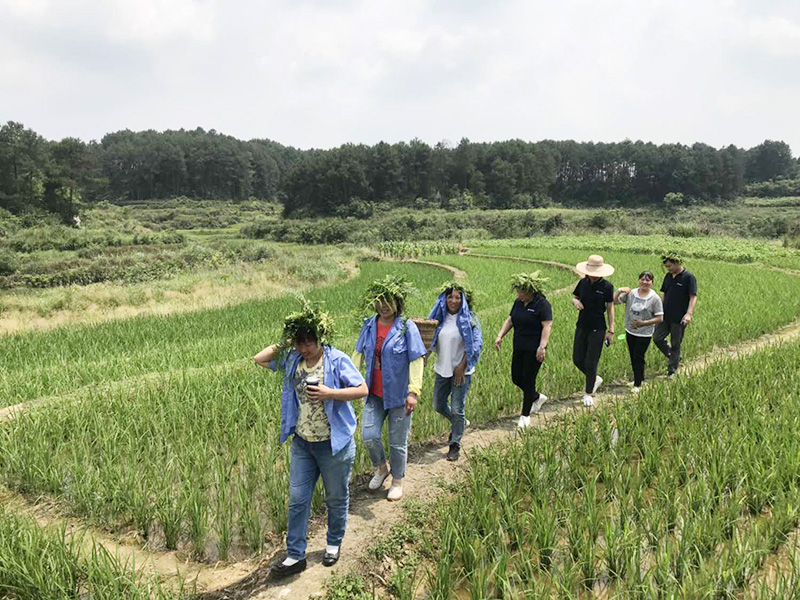 清清粽香悠悠端阳&mdash;&mdash;英国365集团官网子公司三海兰陵职工庆端午团建下乡活动